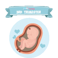 new life family Sticker by Cycles Baby