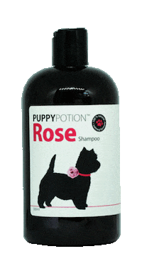 Shampoo Dog Bath Sticker by DOGGYPOTION