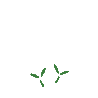 Spring Growing Sticker