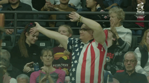 Wave Usa GIF by Fed Cup by BNP Paribas