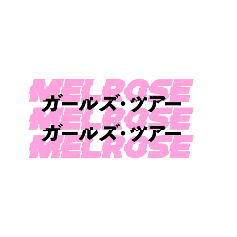 sorellaboutique giphyupload pink melrose sorella Sticker