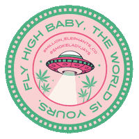 Ladyjays Sticker by ladiesofparadise