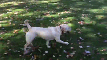 tired jet lag GIF