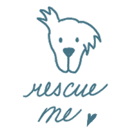 Dog Sticker