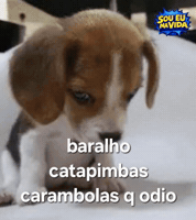 Dog Figurinha GIF by Sou Eu Na Vida