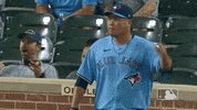 Regular Season Sport GIF by MLB