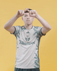 Mls David GIF by Timbers