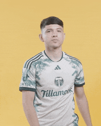 Mls David GIF by Timbers