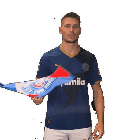 2 Bundesliga Football Sticker by Holstein Kiel