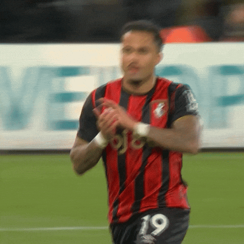 Appreciate Premier League GIF by AFC Bournemouth