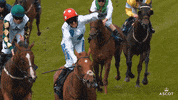 AscotRacecourse celebration yes celebrate yeah GIF