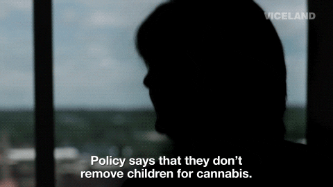 GIF by WEEDIQUETTE