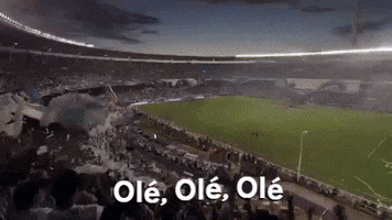 nuskin football soccer win futbol GIF