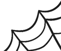 Spiderweb Cobweb Sticker by Zappos