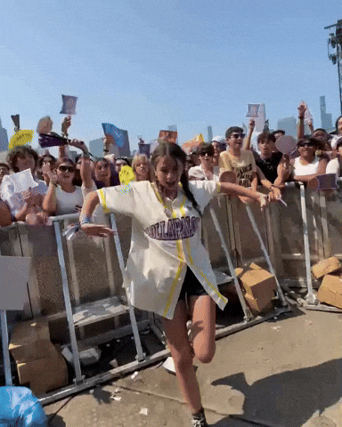 Lollapalooza GIF by Respective