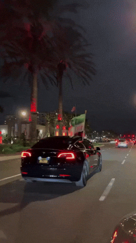 Syria Syrian Flag GIF