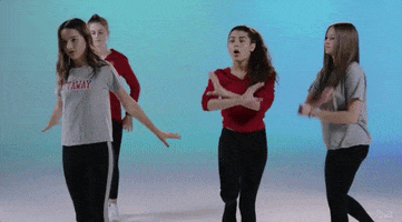 birds of a feather GIF by Brat