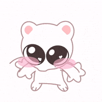 Skz Stay GIF