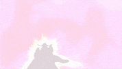 nickelodeon GIF by Teenage Mutant Ninja Turtles
