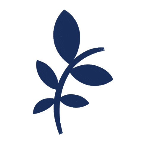 paperflaneur giphyupload nature navy fern Sticker