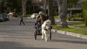 horse #lifeinpieces GIF by CBS