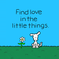 Happy I Love You GIF by Chippy the Dog