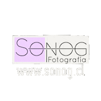 Sonogcl sonogcl Sticker