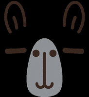 Noristudio face capybara カピバラ noristudio GIF