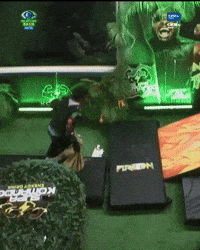 Bbnaija Victory GIF by Big Brother Naija