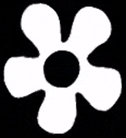 tobewornagain tbwa tobewornagain to be worn again GIF