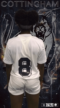 csucougars  GIF