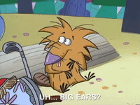 nickrewind nicksplat angry beavers GIF
