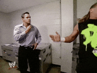 Shawn Michaels Wrestling GIF by WWE