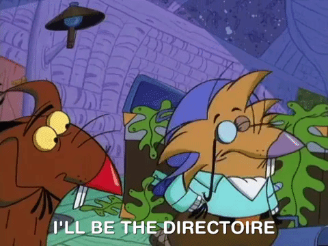 nickrewind giphydvr nicksplat angry beavers giphyab017 GIF