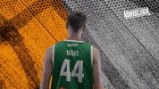 Sport Basketball GIF by Basket_fi