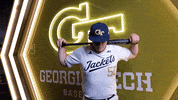 Georgia Tech Baseball GIF by Georgia Tech Yellow Jackets