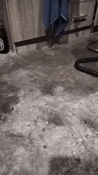 Twin Turbo Anime Girl GIF