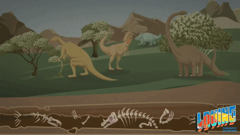 GIF by À Punt Mèdia