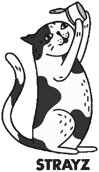 Cool Cat Sticker by STRAYZ