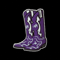 Horned Frogs University GIF by Pinned Pins