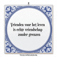 Humor Nl GIF by Tegelspreuken.nl