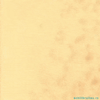 New Year Celebration GIF by echilibrultau