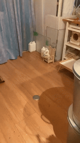 cuteanimalland giphyupload GIF