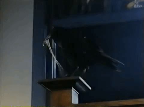 ashley olsen halloween GIF