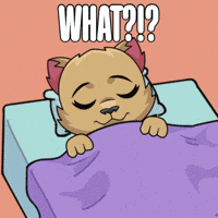 Where Am I What GIF by Kabu