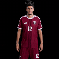 Fifa World Cup Qatar GIF by Respective