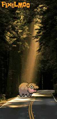 Happy Baby GIF