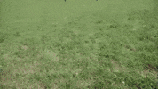 Happy Full House GIF by Lapointe Insurance Agency