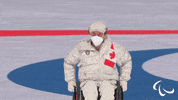 Winter Games Paralympics GIF by International Paralympic Committee