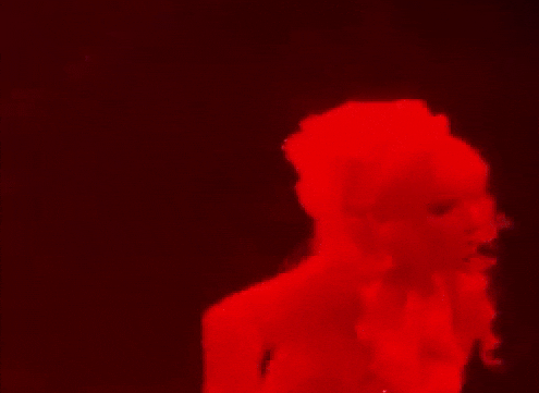 giphy.gif